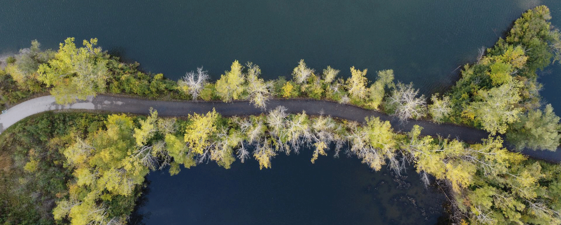 Global Financial Trust Grand Rapids